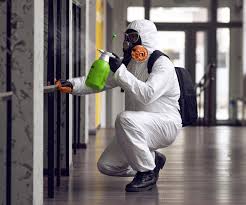 Best Forensic Mold Investigation  in Tifton, GA